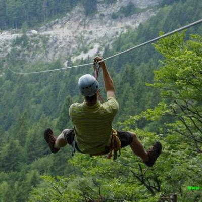 a person riding a horse in a forest